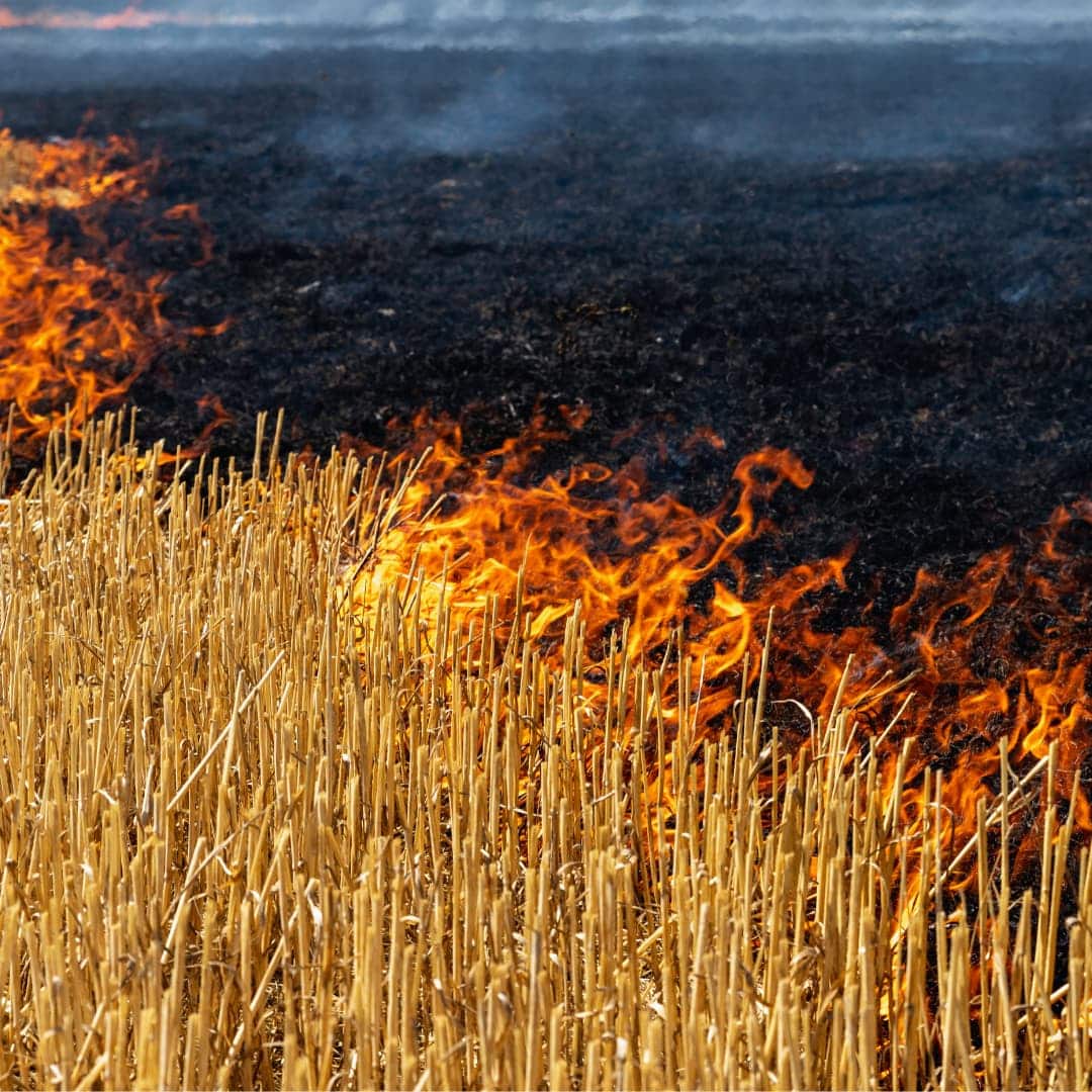 Crop burning in Vietnamese landscape showing smoke and mountains in the background