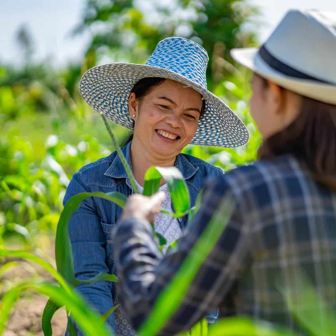 Farmer happily working in a lush green field