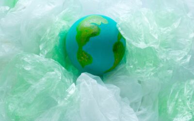 The Environmental Impact of Plastic Waste and Sustainable Alternatives