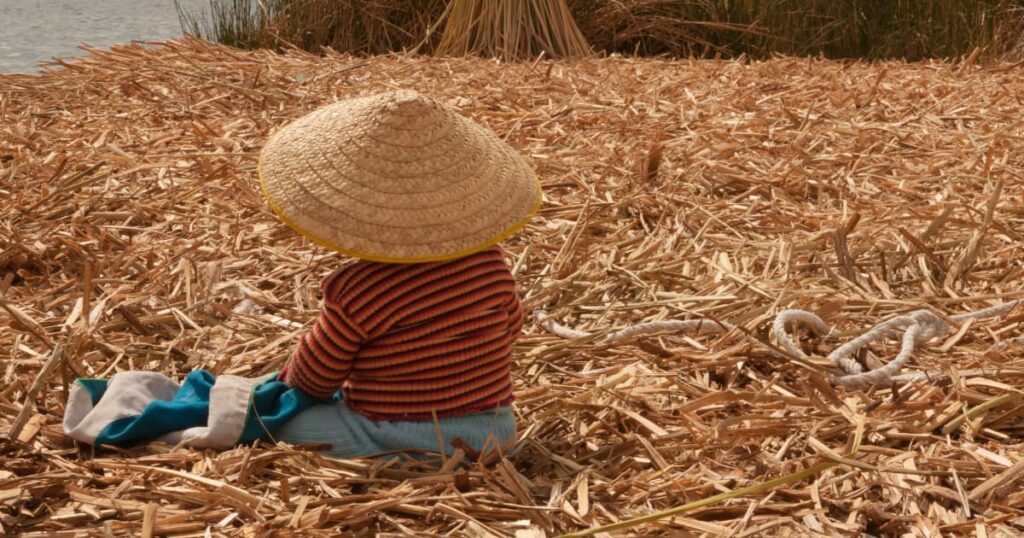 Young child wearing a straw hat sitting in a field, observing traditional farming practices.