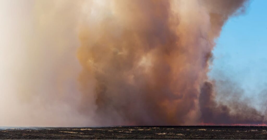 Large plumes of smoke rising from fields due to crop burning.