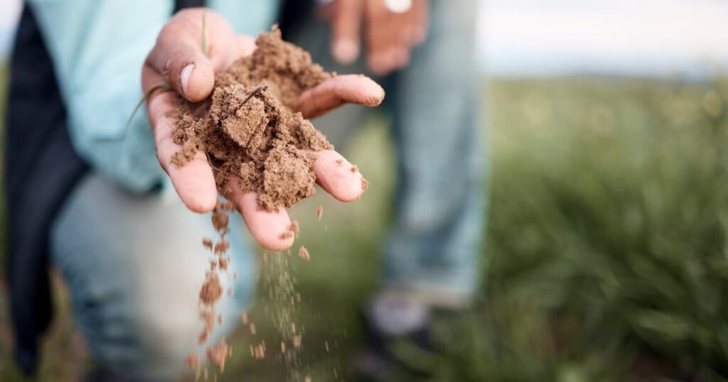 Farmer examining soil quality in the field, focusing on soil health.