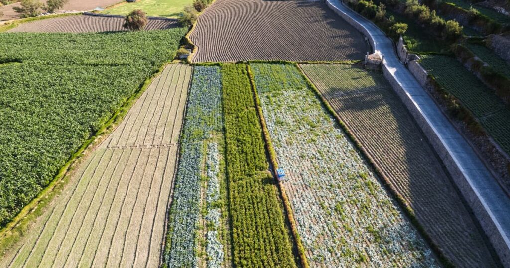 Aerial view of diverse crop fields demonstrating the practice of crop rotation.