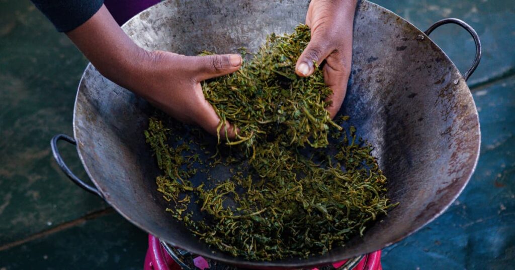 Hands of a person processing seaweed in a large pan.