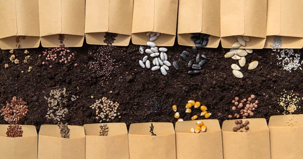 Various cover crop seeds displayed for selection.