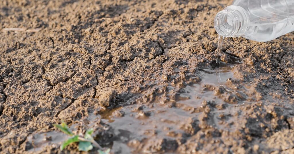 Water being poured onto dry, cracked soil affected by long-term chemical fertiliser use.