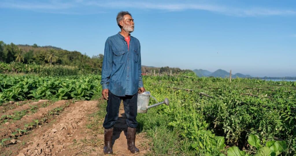 A farmer watering crops in a lush green field.