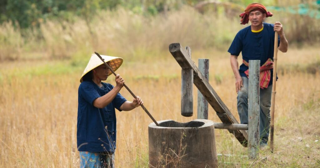 Rural farmers in traditional attire working with a wooden tool in a rice field.
