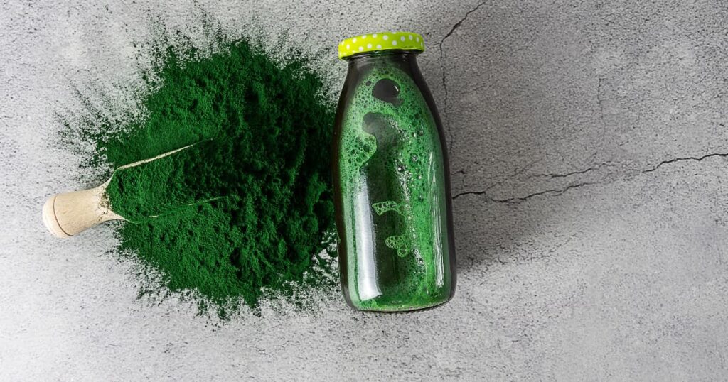 Spirulina algae powder and drink