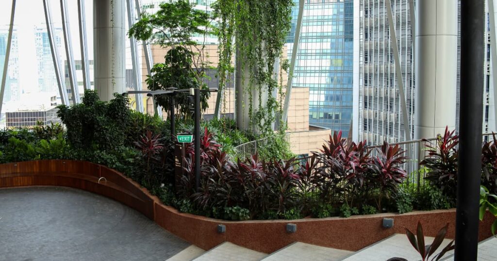 Urban greenery in a modern city